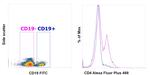 CD4 Antibody