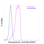 Granzyme B Antibody in Flow Cytometry (Flow)