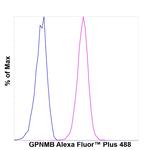 GPNMB Antibody in Flow Cytometry (Flow)