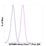GPNMB Antibody in Flow Cytometry (Flow)