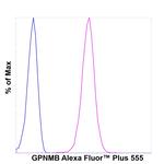 GPNMB Antibody in Flow Cytometry (Flow)