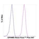 GPNMB Antibody in Flow Cytometry (Flow)