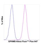 GPNMB Antibody in Flow Cytometry (Flow)