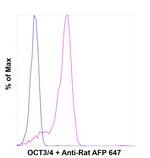 OCT3/4 Antibody in Flow Cytometry (Flow)