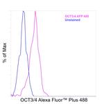 OCT3/4 Antibody in Flow Cytometry (Flow)