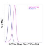 OCT3/4 Antibody in Flow Cytometry (Flow)