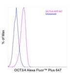 OCT3/4 Antibody in Flow Cytometry (Flow)