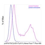 Phospho-BTK/ITK (Tyr551, Tyr511) Recombinant Mouse Monoclonal Antibody (M4G3LN), Alexa Fluor™ Plus 488