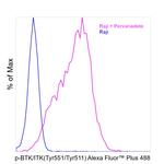 Phospho-BTK/ITK (Tyr551, Tyr511) Antibody in Flow Cytometry (Flow)