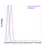 Phospho BTK-ITK Recombinant Mouse Monoclonal Antibody (M4G3LN), Alexa Fluor™ Plus 555