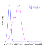 Phospho BTK-ITK Antibody