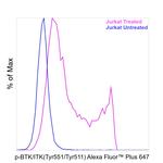 Phospho-BTK/ITK (Tyr551, Tyr511) Antibody