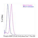 Phospho-4EBP1 (Thr36, Thr45) Antibody
