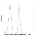 GATA4 Antibody in Flow Cytometry (Flow)