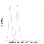 GATA4 Antibody in Flow Cytometry (Flow)