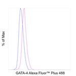 GATA4 Antibody in Flow Cytometry (Flow)