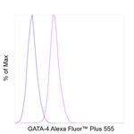 GATA4 Antibody in Flow Cytometry (Flow)