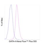 GATA4 Antibody in Flow Cytometry (Flow)