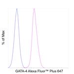 GATA4 Antibody in Flow Cytometry (Flow)