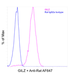 GILZ Antibody in Flow Cytometry (Flow)