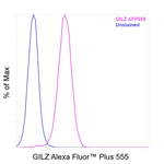 GILZ Antibody in Flow Cytometry (Flow)