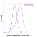 GILZ Antibody in Flow Cytometry (Flow)
