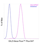 GILZ Antibody in Flow Cytometry (Flow)