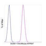 SOX9 Antibody in Flow Cytometry (Flow)