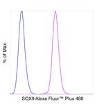 SOX9 Antibody in Flow Cytometry (Flow)