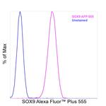 SOX9 Antibody in Flow Cytometry (Flow)