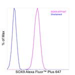 SOX9 Antibody in Flow Cytometry (Flow)