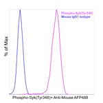 Phospho-Syk (Tyr348) Antibody in Flow Cytometry (Flow)