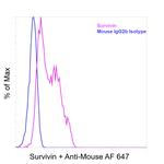 Survivin Antibody in Flow Cytometry (Flow)