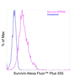 Survivin Antibody in Flow Cytometry (Flow)