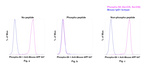 Phospho-S6 (Ser235, Ser236) Antibody in Flow Cytometry (Flow)