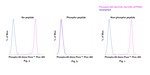 Phospho-S6 (Ser235, Ser236) Antibody in Flow Cytometry (Flow)