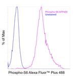 Phospho-S6 (Ser235, Ser236) Antibody in Flow Cytometry (Flow)
