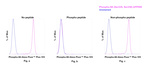 Phospho-S6 (Ser235, Ser236) Antibody in Flow Cytometry (Flow)