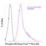 Phospho-S6 (Ser235, Ser236) Antibody in Flow Cytometry (Flow)