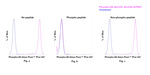Phospho-S6 (Ser235, Ser236) Antibody in Flow Cytometry (Flow)