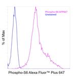 Phospho-S6 (Ser235, Ser236) Antibody in Flow Cytometry (Flow)