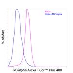 IkB alpha Recombinant Rat Monoclonal Antibody (MFRDTRK), Alexa Fluor™ Plus 488