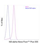 IkB alpha Recombinant Rat Monoclonal Antibody (MFRDTRK), Alexa Fluor™ Plus 555