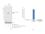 Phospho-AKT1 (Ser473) Antibody in Western Blot (WB)