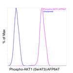 Phospho AKT1 (Ser473) Antibody in Flow Cytometry (Flow)