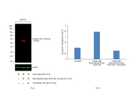Phospho AKT1 (Ser473) Antibody