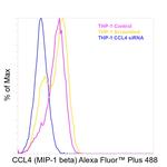 CCL4 Recombinant Mouse Monoclonal Antibody (FL34Z3L), Alexa Fluor™ Plus 488