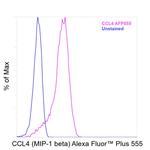 CCL4 Antibody in Flow Cytometry (Flow)
