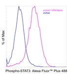 Phospho-STAT3 (Tyr705) Recombinant Mouse Monoclonal Antibody (LUVNKLA), Alexa Fluor™ Plus 488
