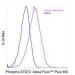 Phospho-STAT3 (Tyr705) Antibody